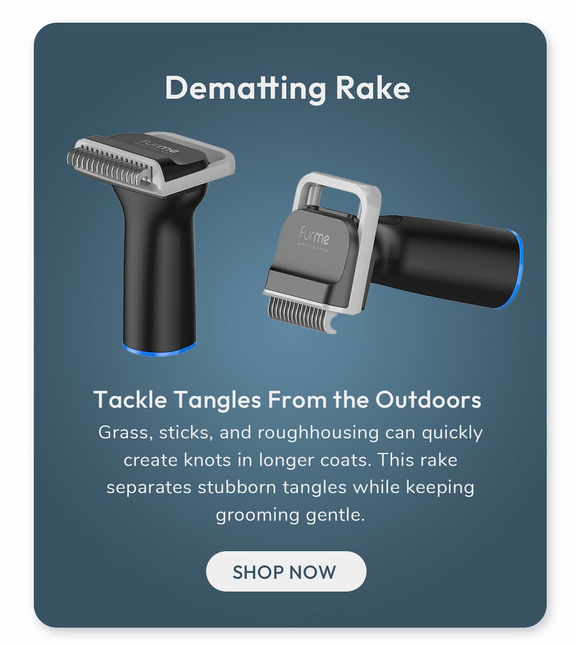 Dematting Rake
