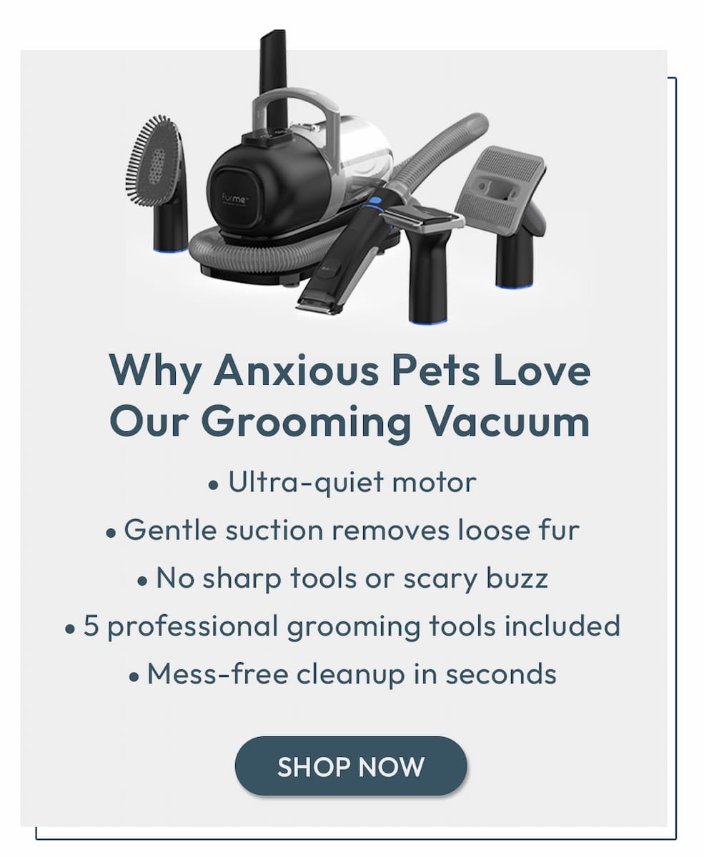 Grooming Vacuum