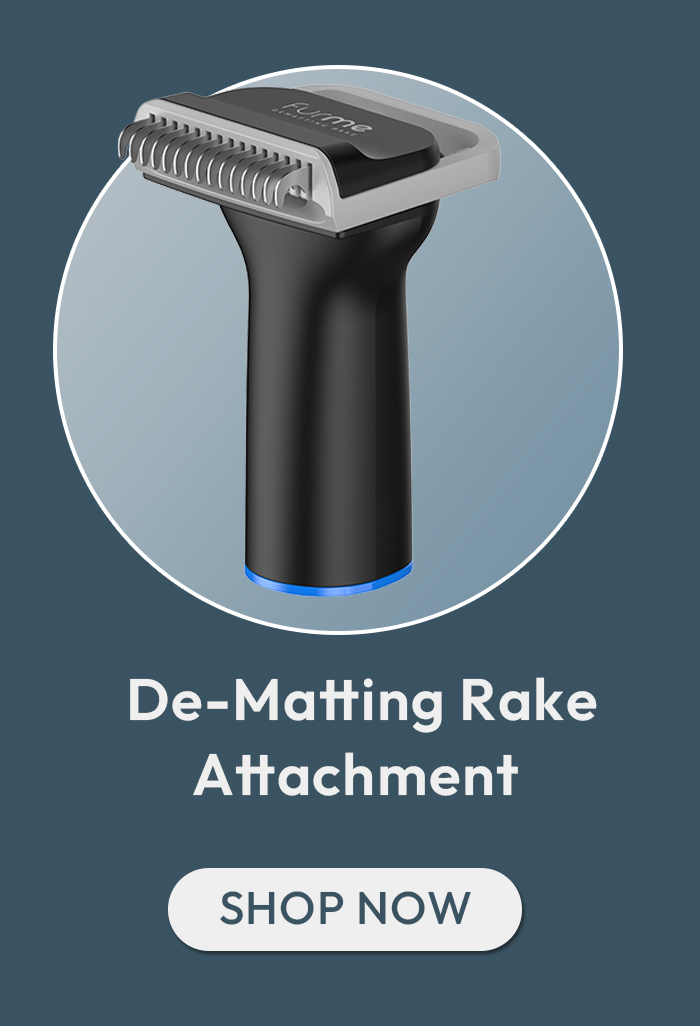 Dematting Rake