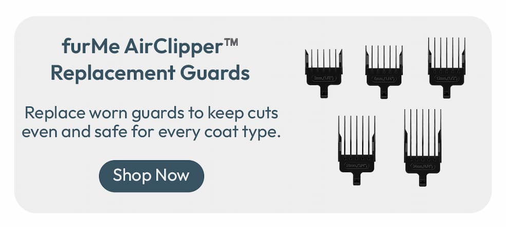 Replacement Guards