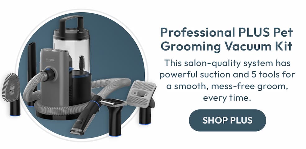 Professional PLUS