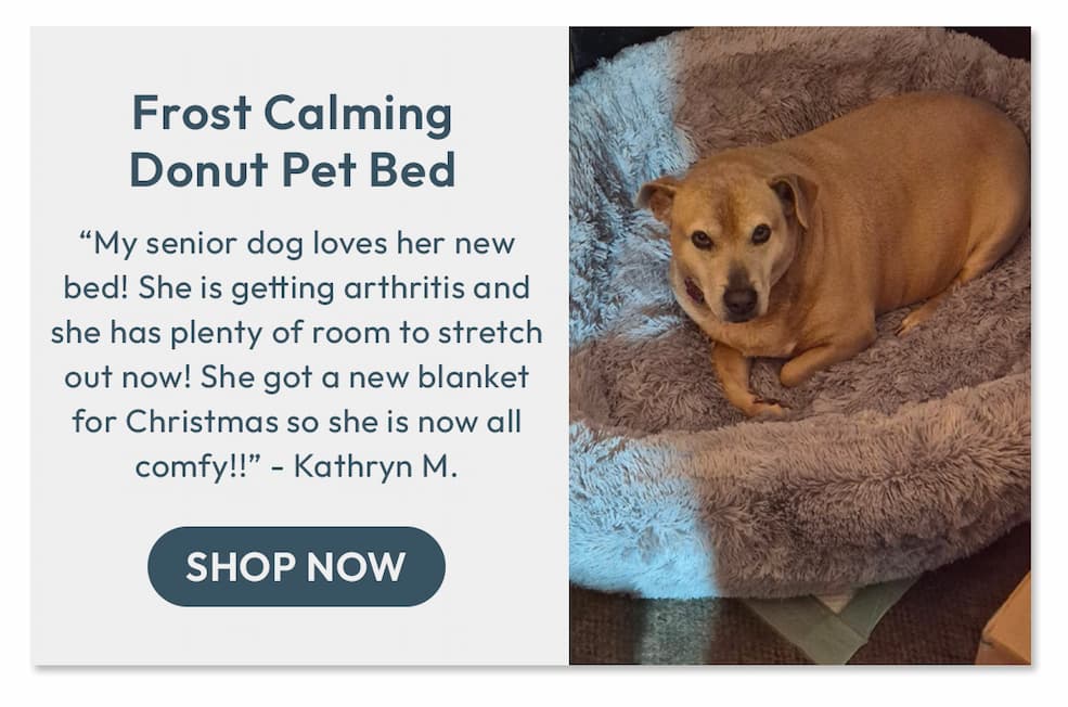 Pet Beds