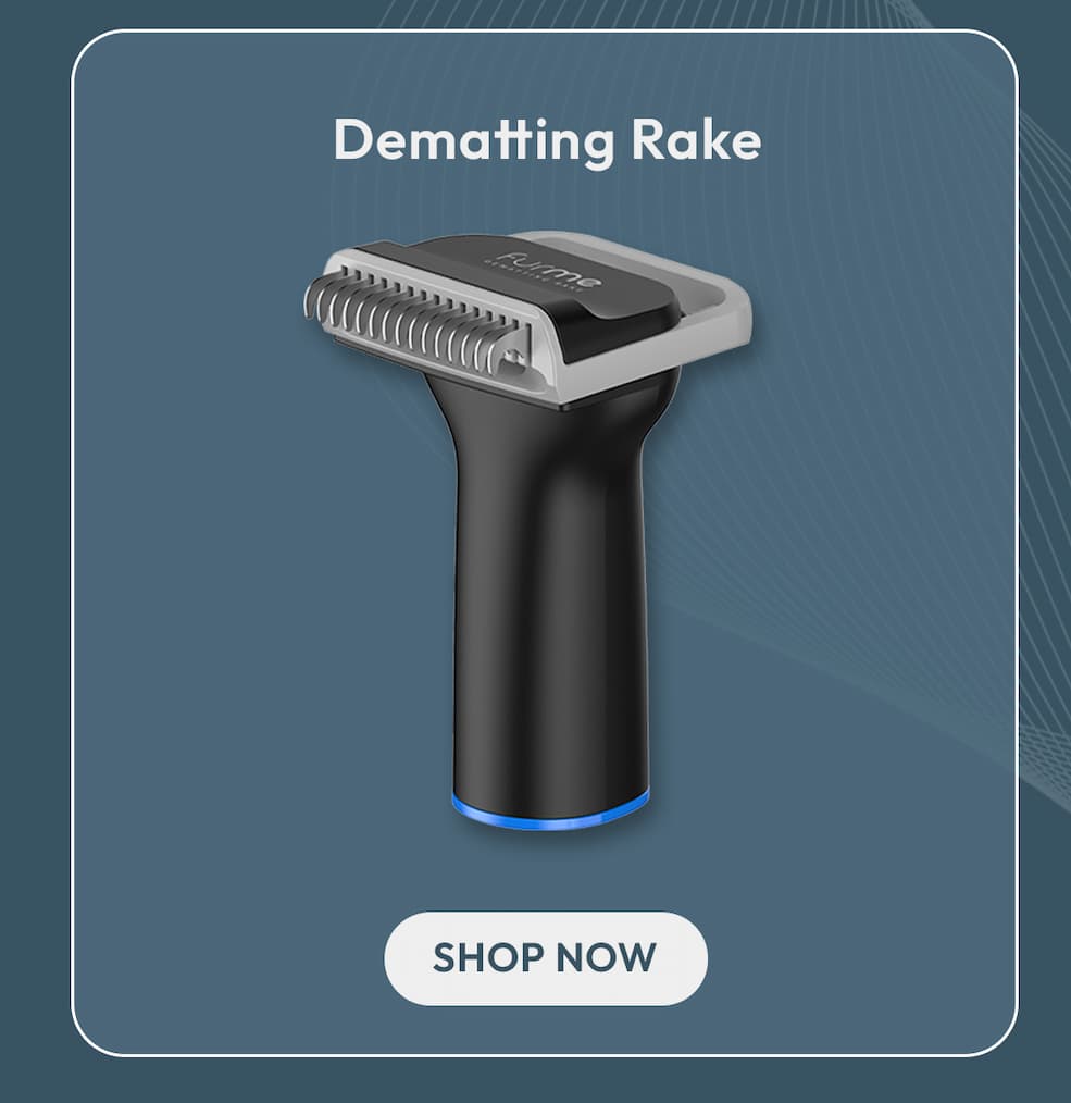 Dematting Rake