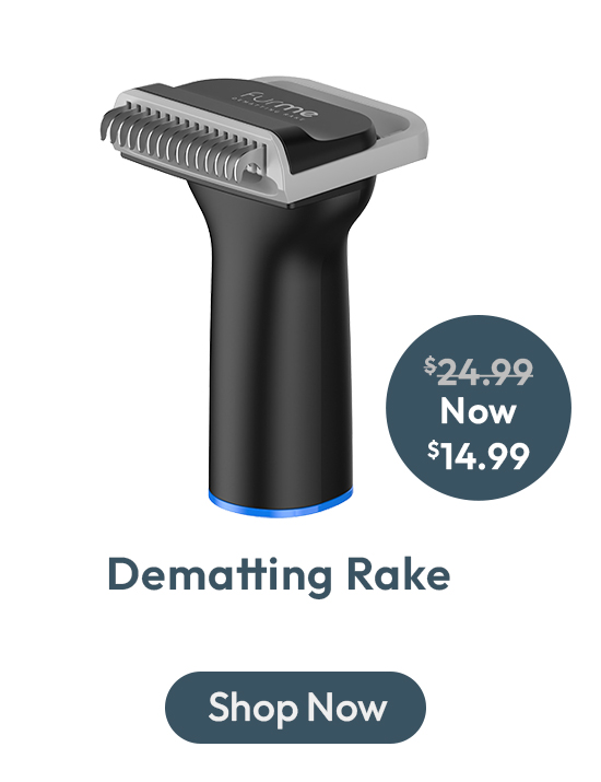 Dematting Rake