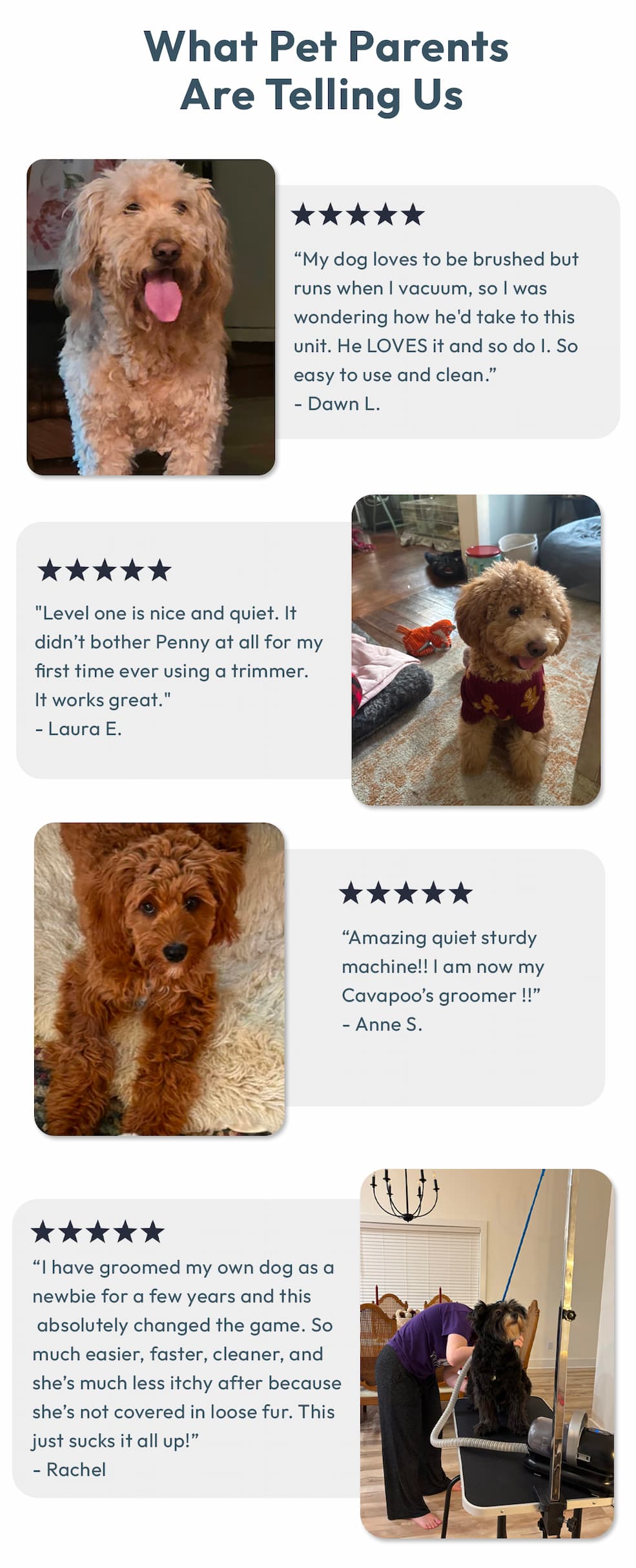 Reviews
