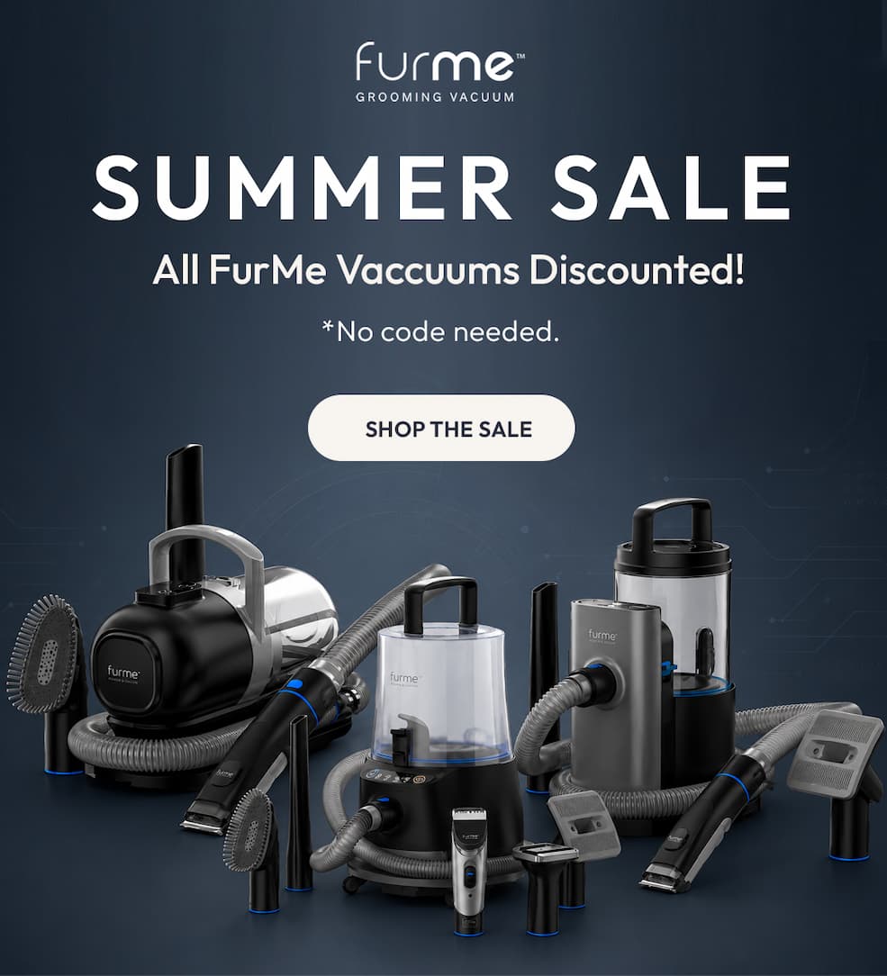 SUMMER SALE