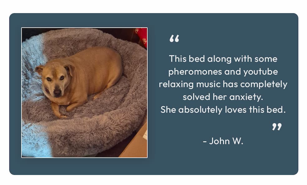 "This bed has completely solved her anxiety"