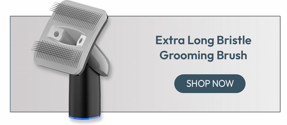 Extra Long Bristle Grooming Brush