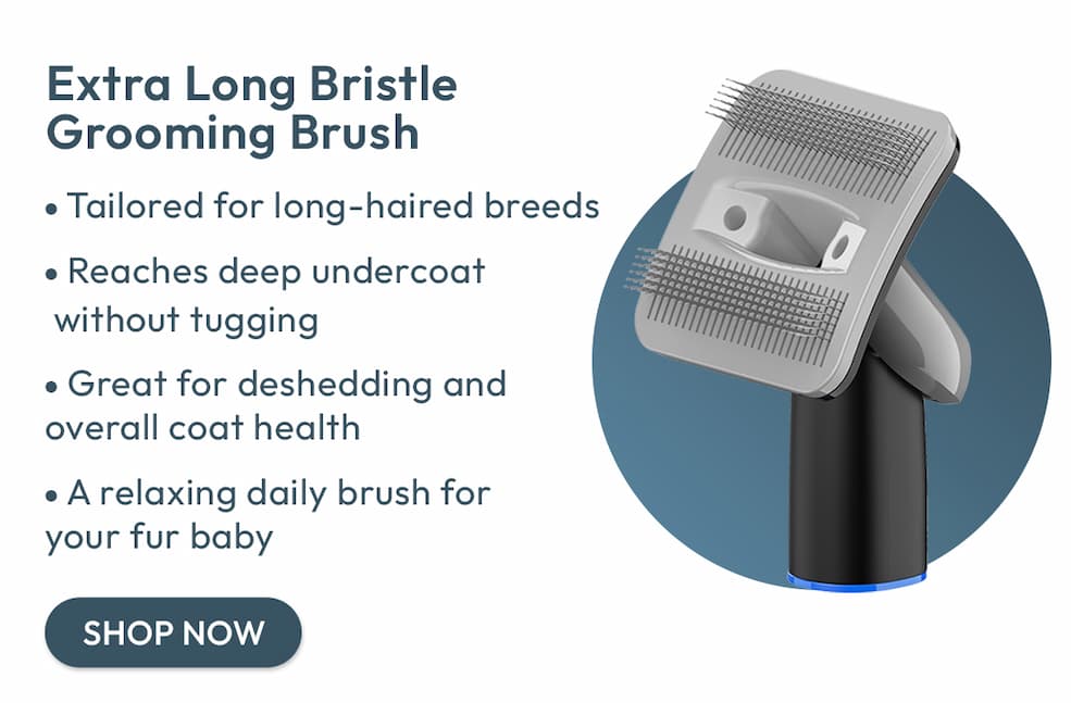 Extra Long Bristle Grooming Brush