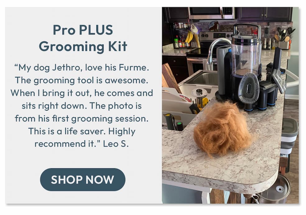 PLUS Grooming Vacuum