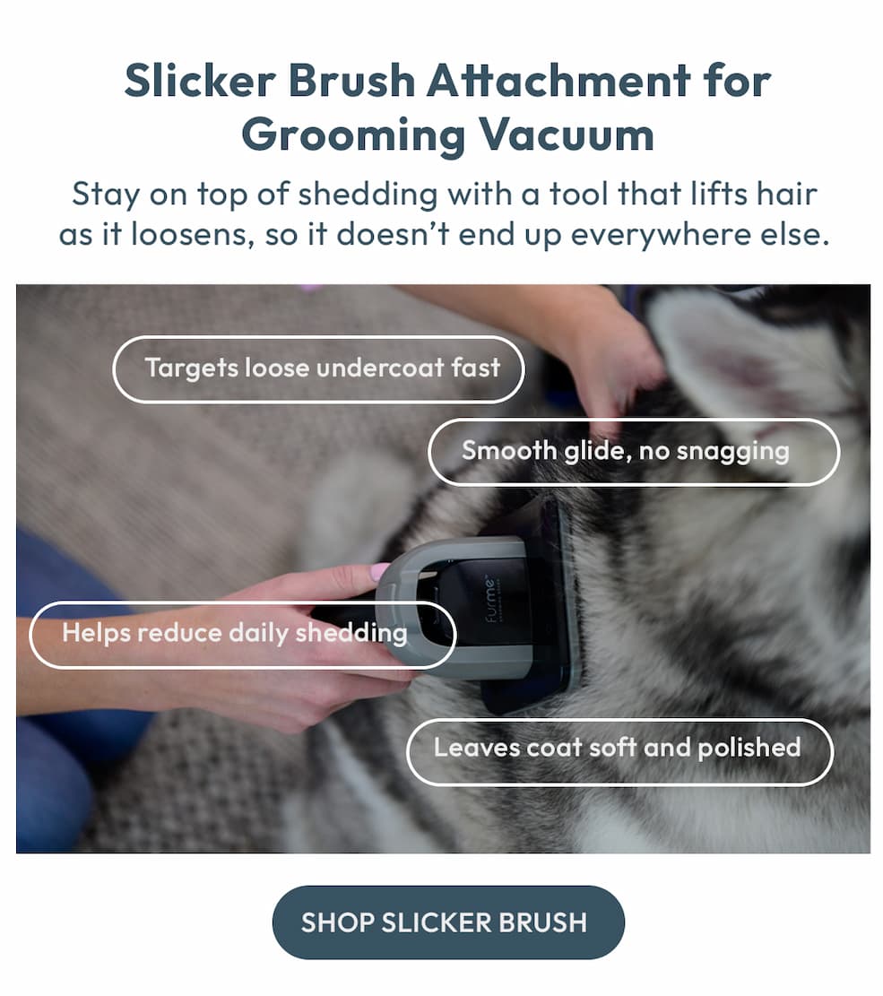 Slicker Brush Attachment