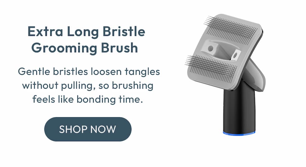 Extra Long Bristle Grooming Brush