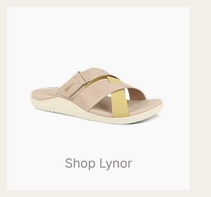 Shop Lynor