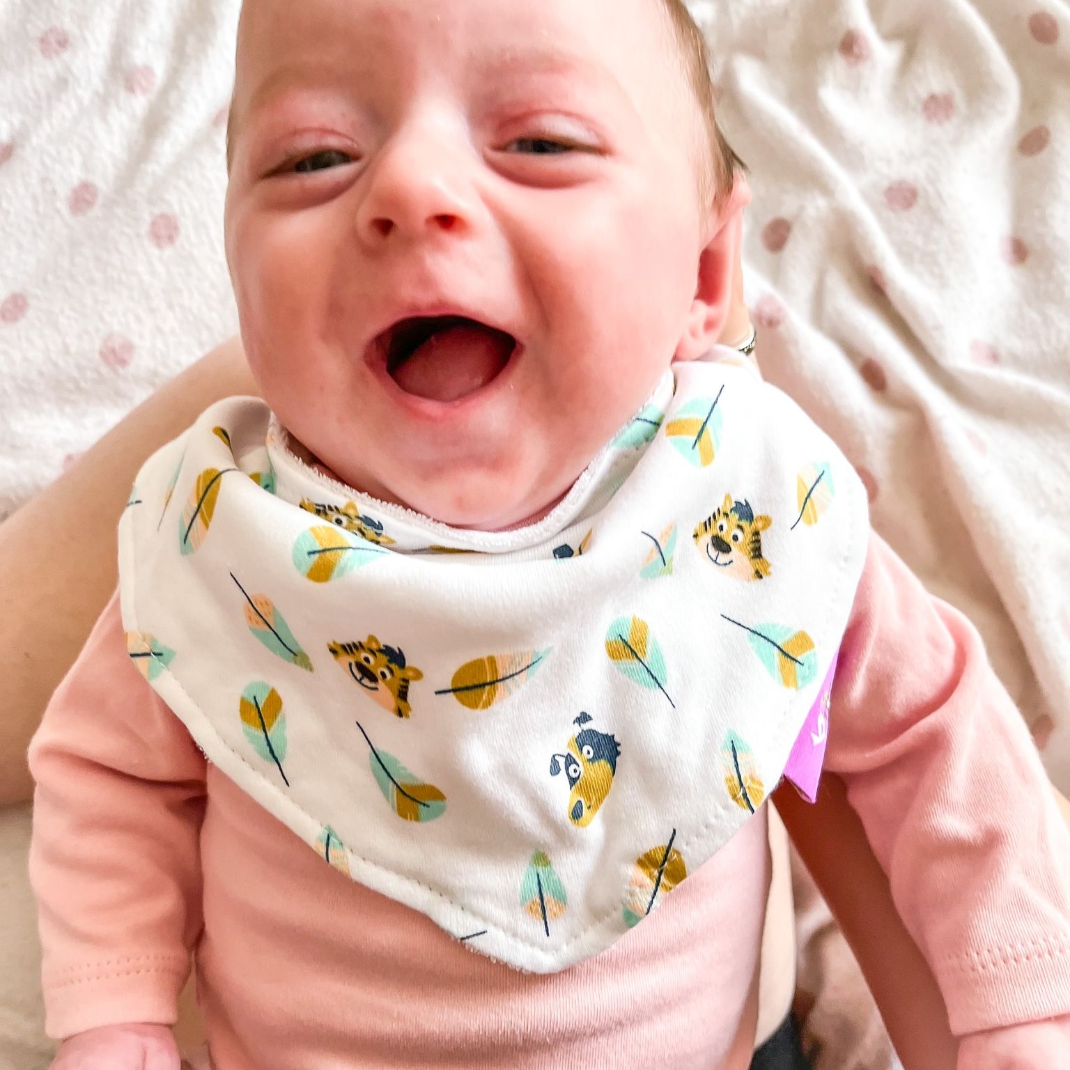 Try a OneOff July Box Little Fawn Box