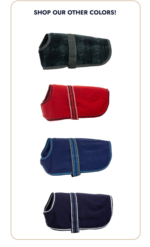 Shop Our Other Colors!