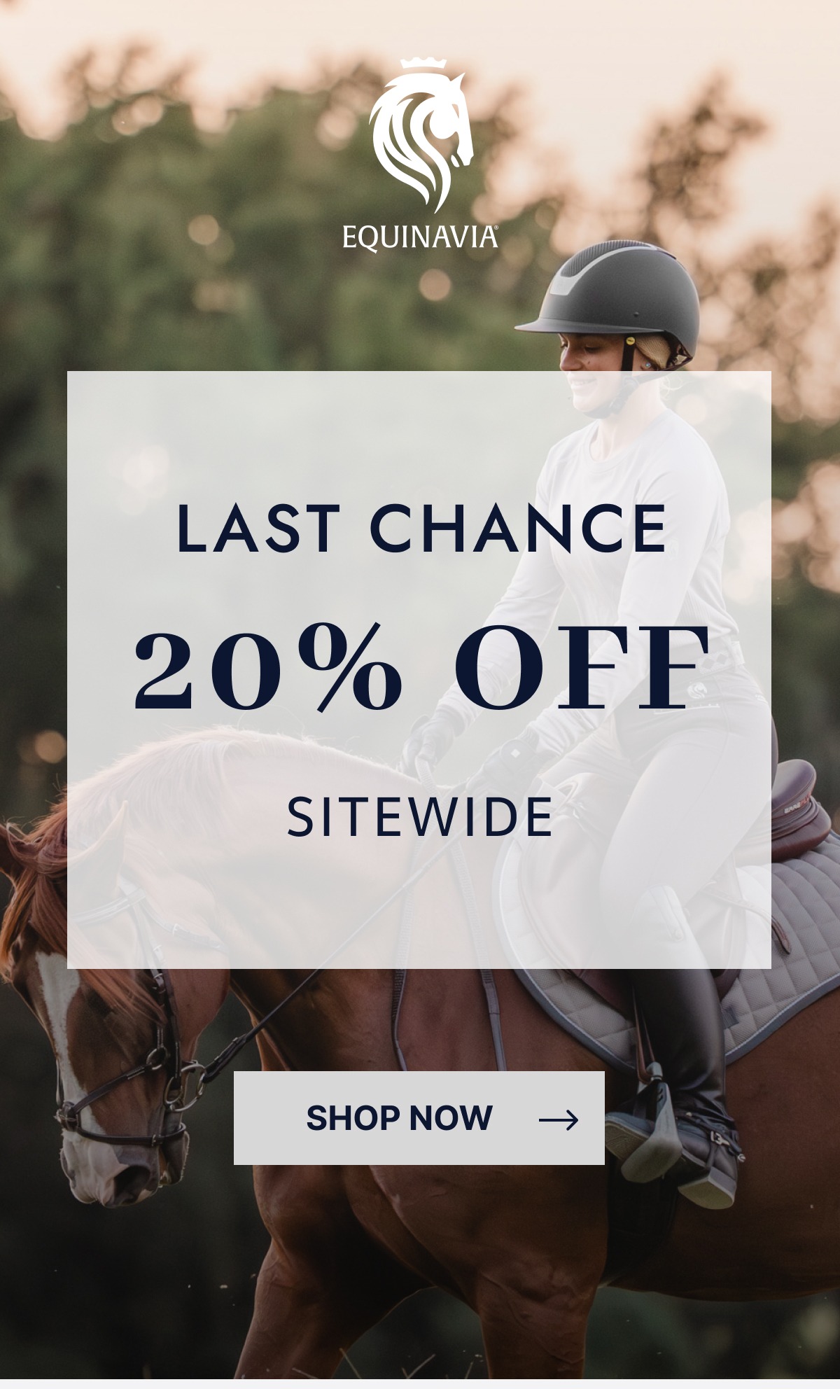 Last Chance - 20% OFF Sitewide