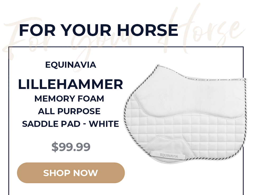 Equinavia Lillehammer Memory Foam All Purpose Saddle Pad - White