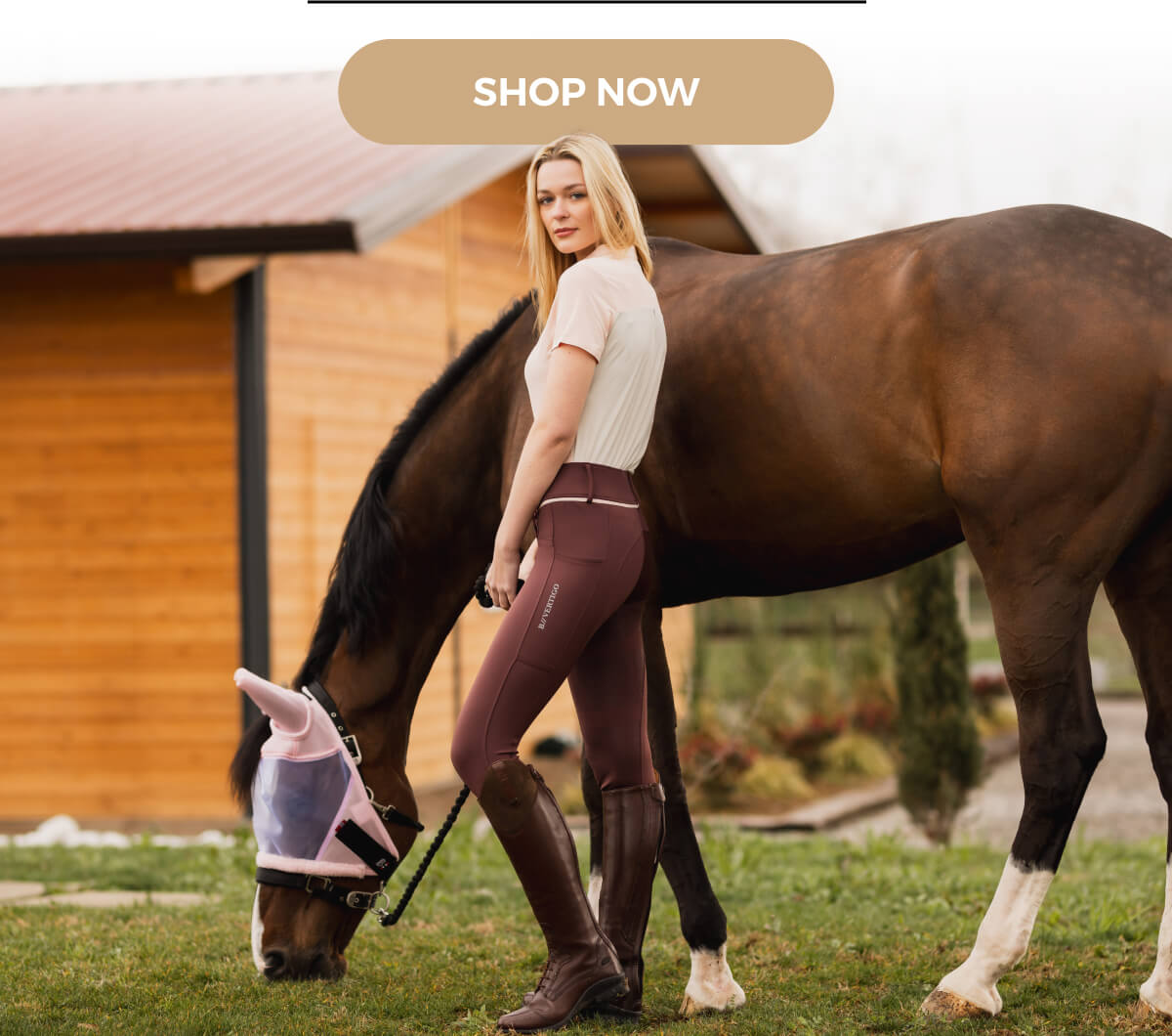 Shop Now