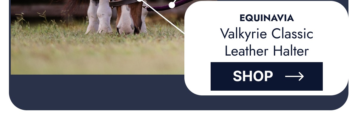 Equinavia Valkyrie Classic Leather Halter