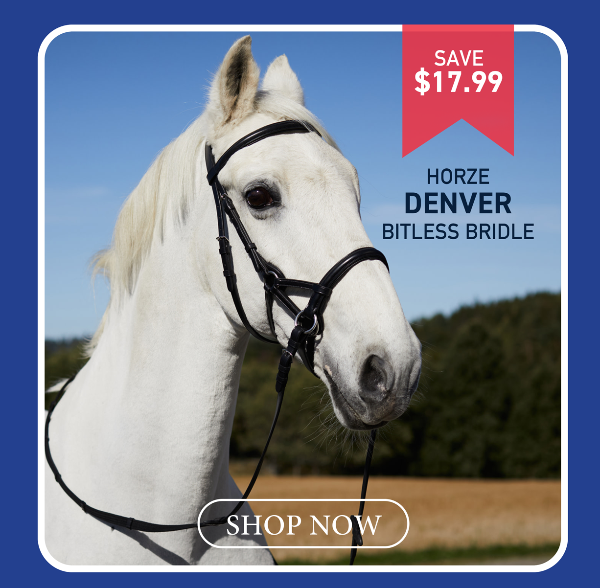 Horze Denver Bitless Bridle 