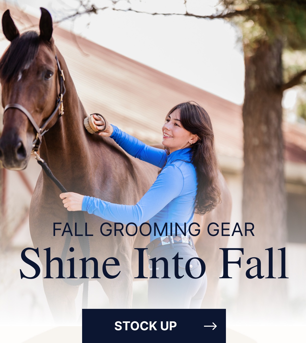 Fall Grooming Gear. Shine Into Fall. Stock Up