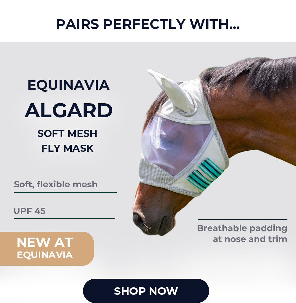Equinavia Algard Soft Mesh Fly Mask - Silver/Turquoise