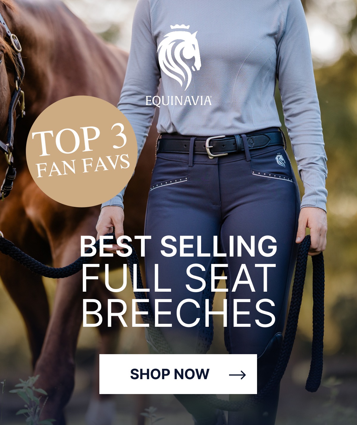 TOP 3 Fan Fav Breeches