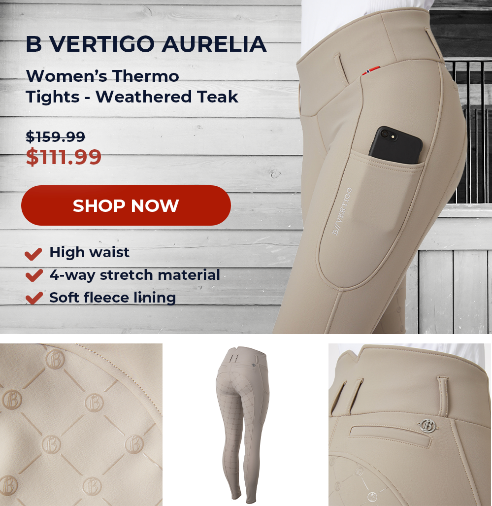 B Vertigo Aurelia Women's Thermo Tights - Weathered Teak