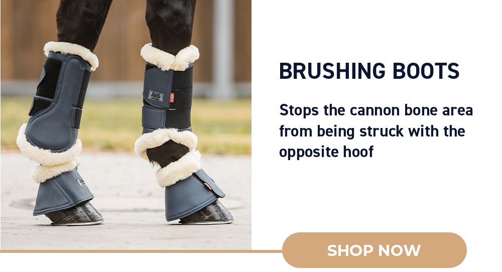 Brushing Boots
