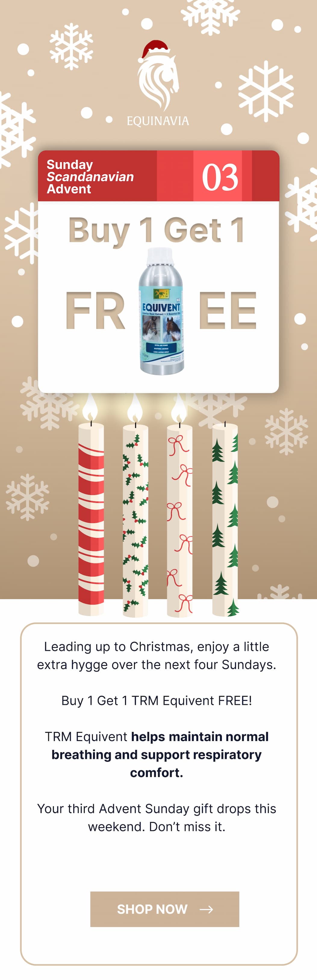 Buy 1 Get 1 FREE: TRM Equivent 