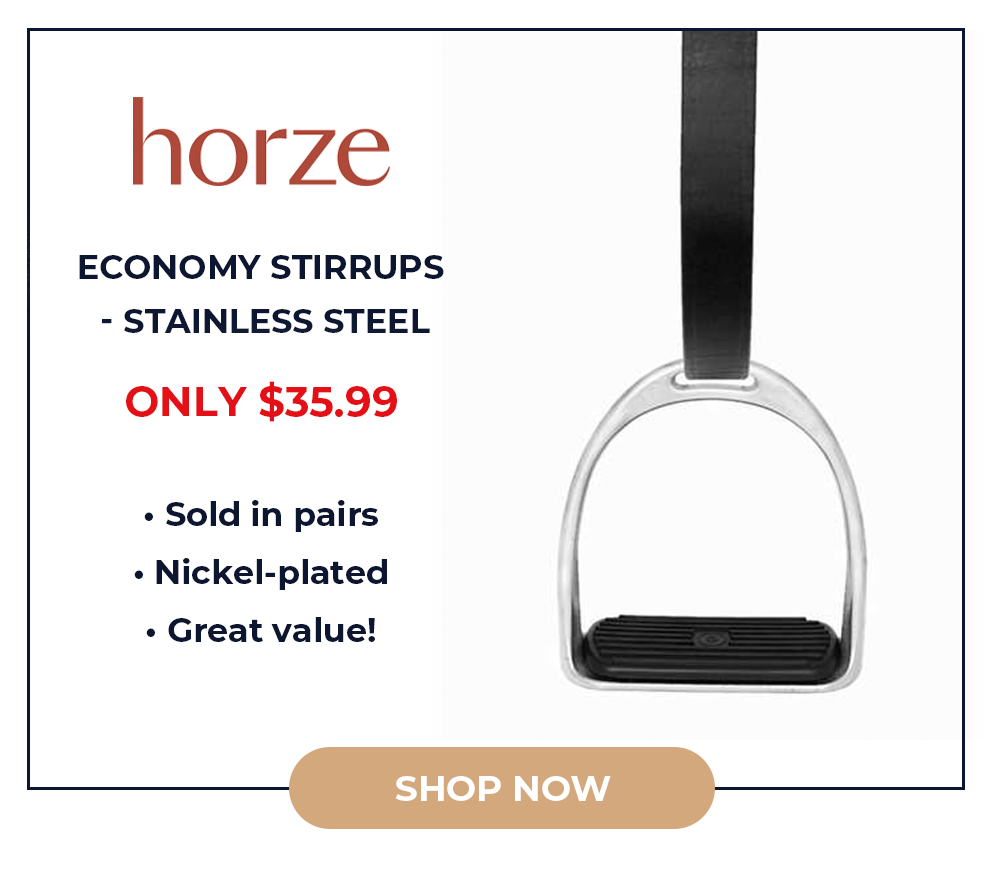 Horze Economy Stirrups - Stainless Steel