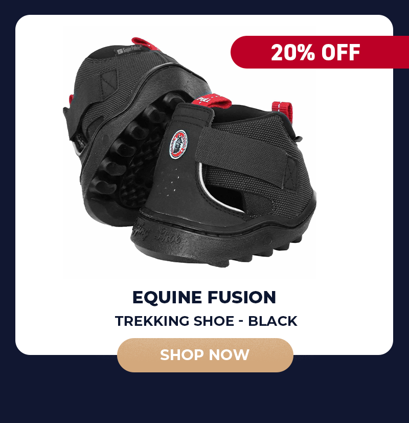 Equine Fusion Trekking Shoe - Black