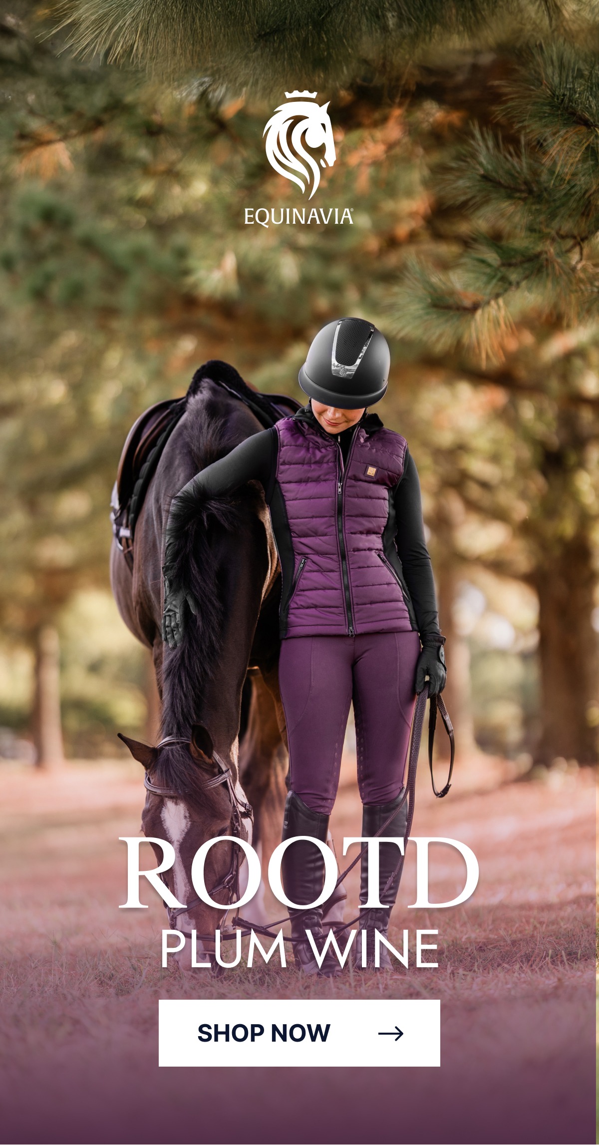 ROOTD Plum Wine. Shop Now