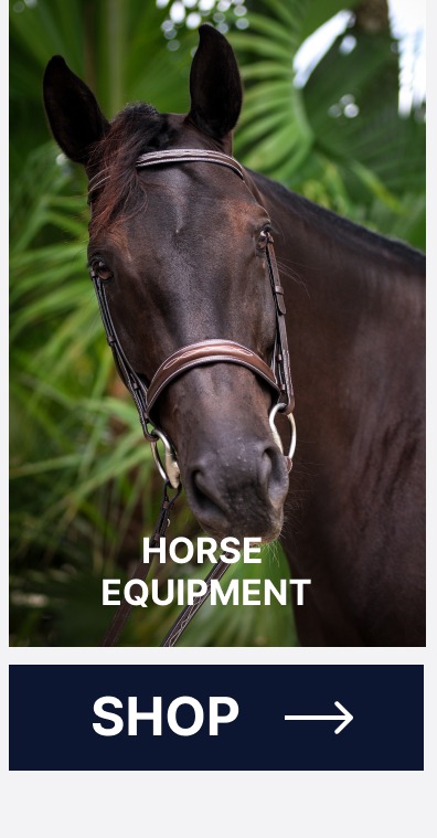 Horse Equipment