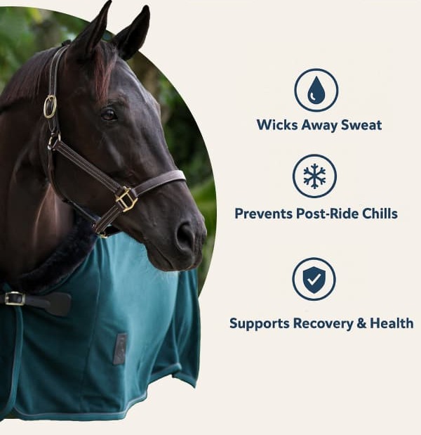 Wicks Away Sweat, Prevents Post-Ride Chills, Supports Recovery & Health