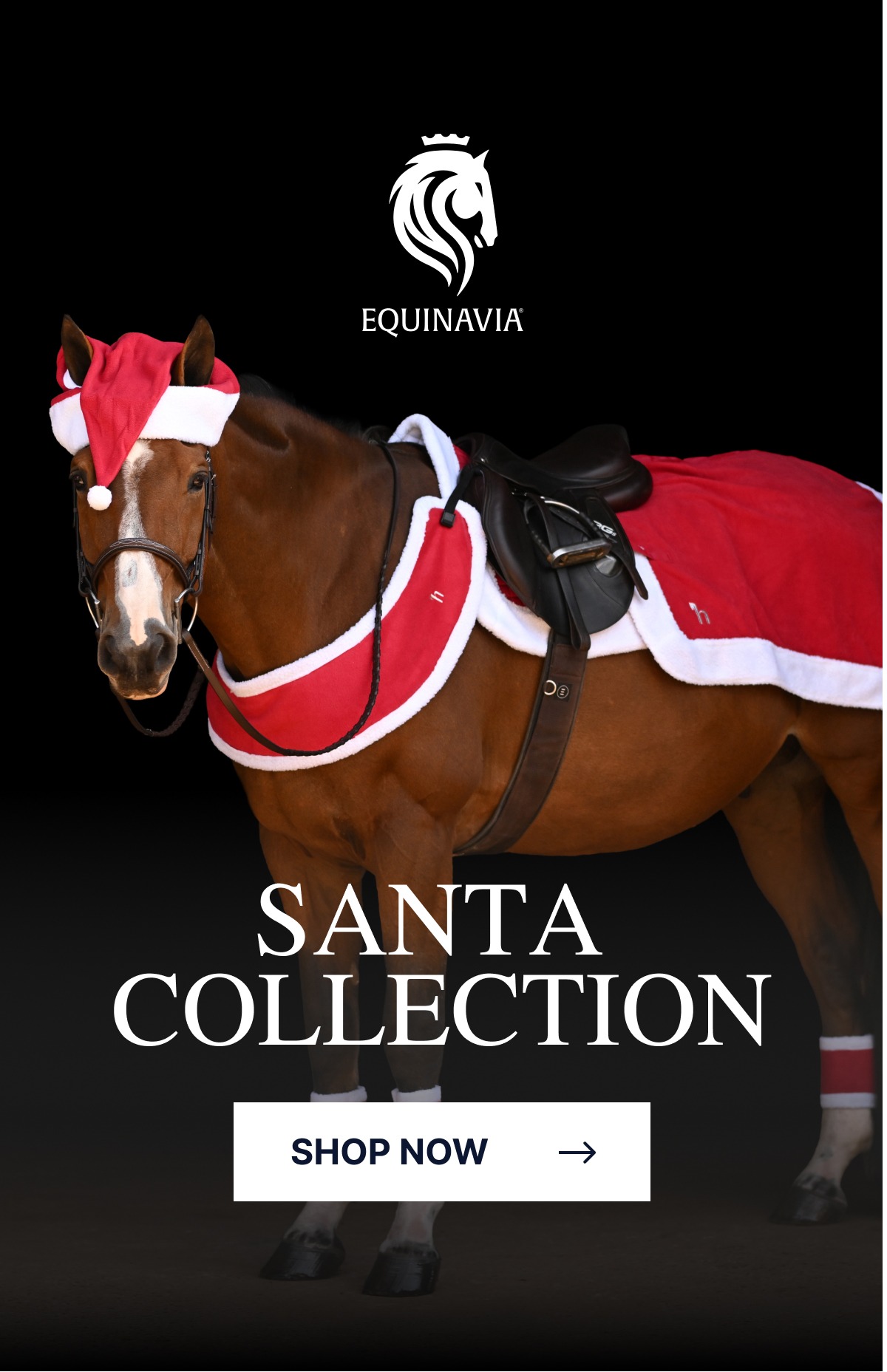 Santa Collection. Shop Now