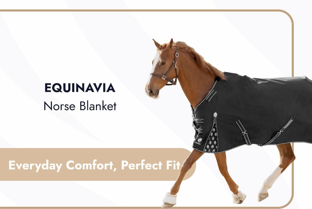 Equinavia Norse Blanket