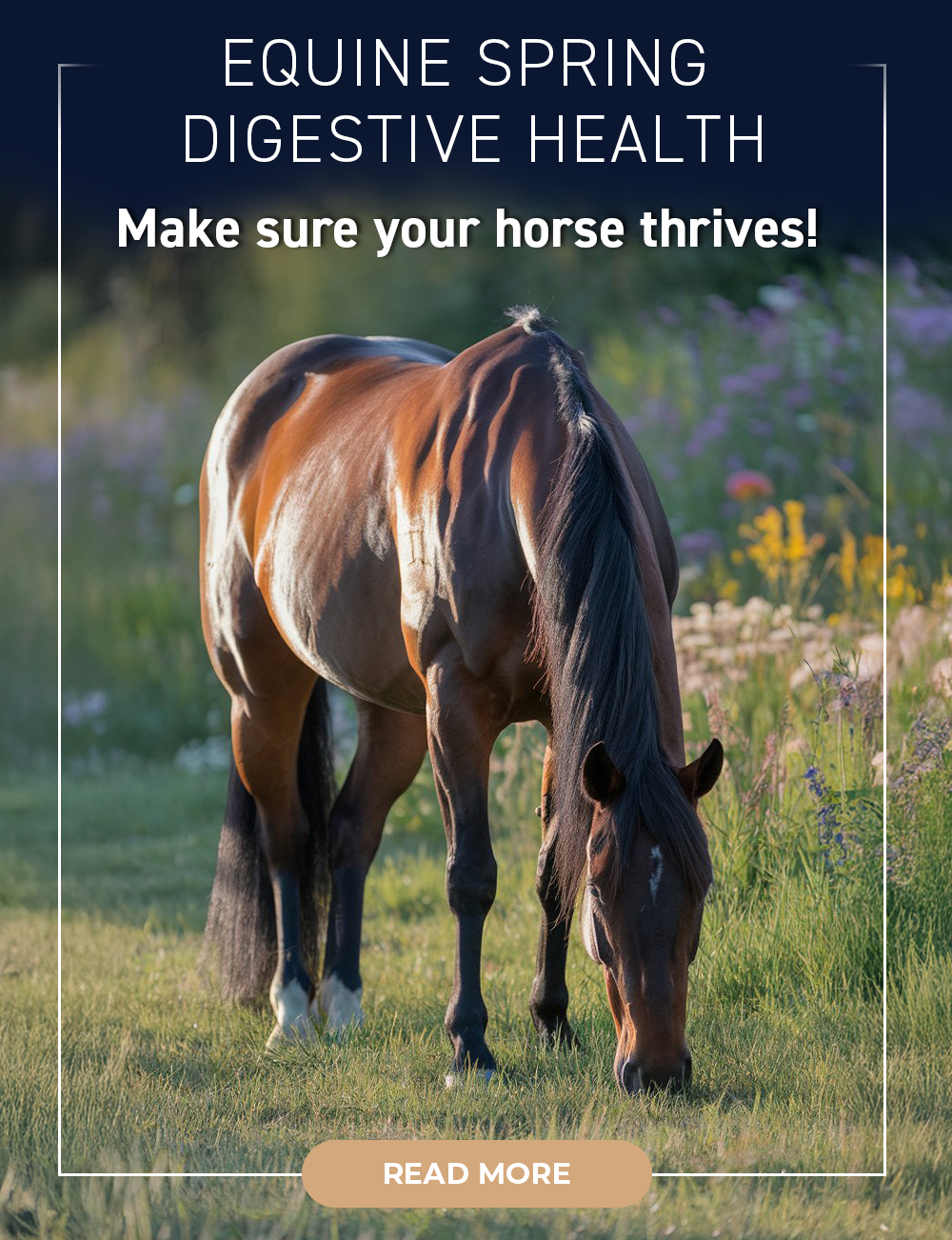 Equine Spring Digestive Health Make sure your horse thrives!