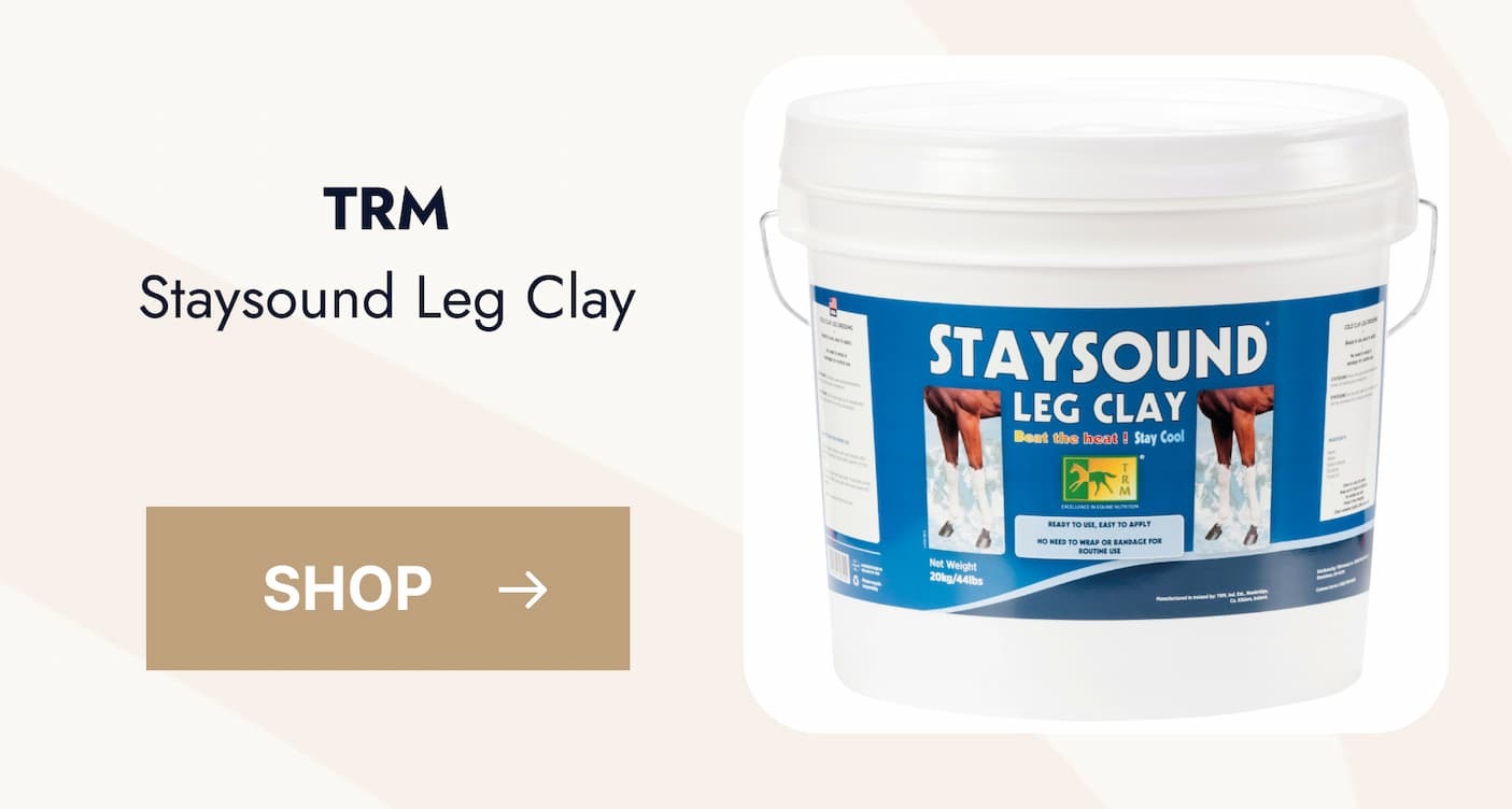 TRM Staysound Leg Clay