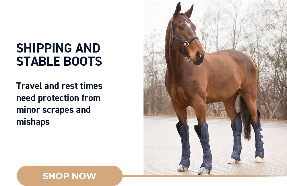 Shipping and Stable Boots