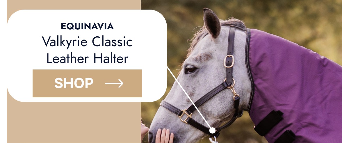 Equinavia Valkyrie Classic Leather Halter