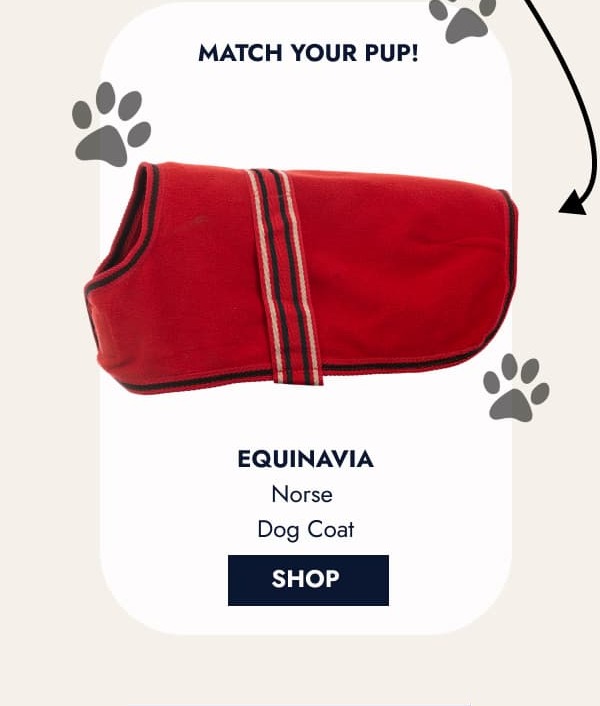 Equinavia Norse Dog Coat