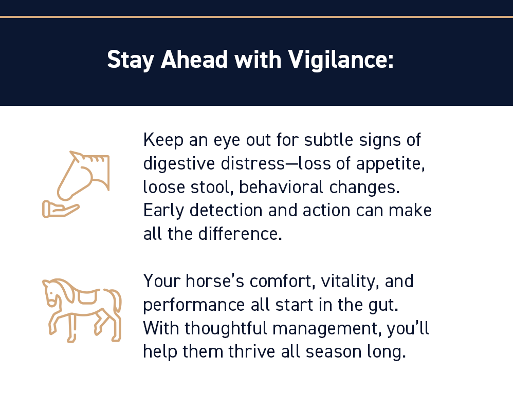 Stay Ahead with Vigilance: