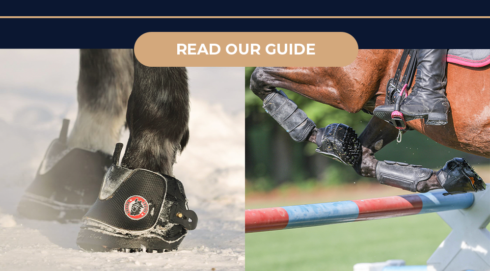 READ OUR GUIDE