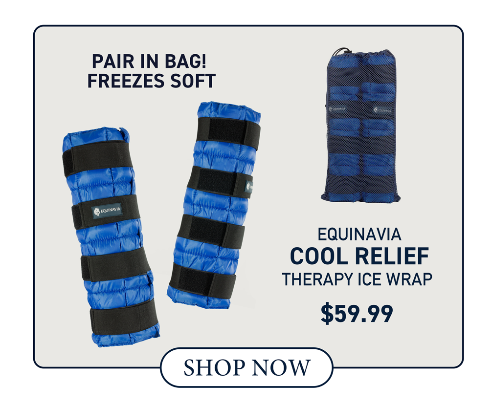 Equinavia Cool Relief Therapy Ice Wrap Pair - Royal Blue - Pair