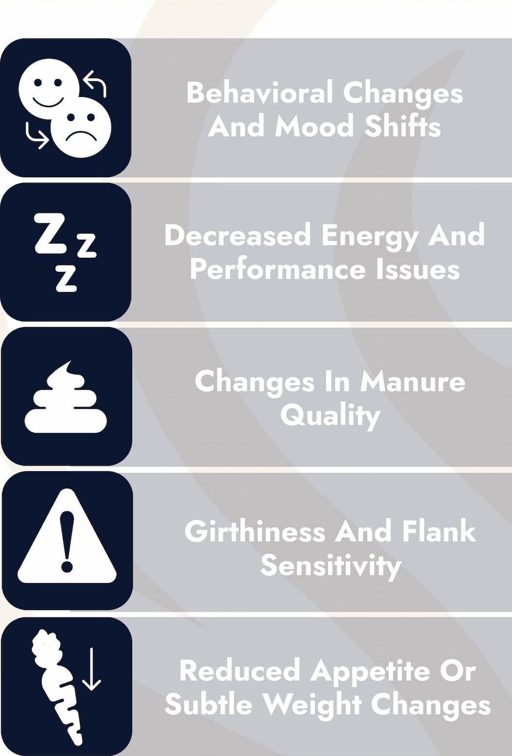 Behavioral changes and mood shifts. Decreased energy and performance issues. Changes in manure quality. Girthiness and flank sensitivity. Reduced appetite or subtle weight changes. 