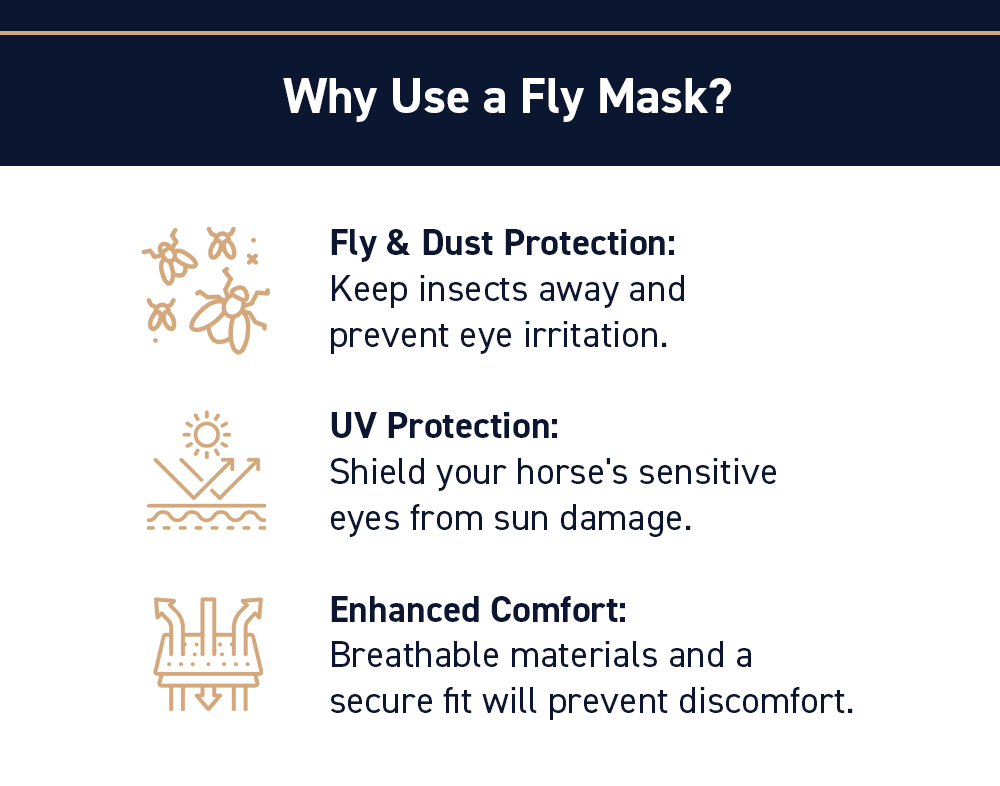 Why Use a Fly Mask?