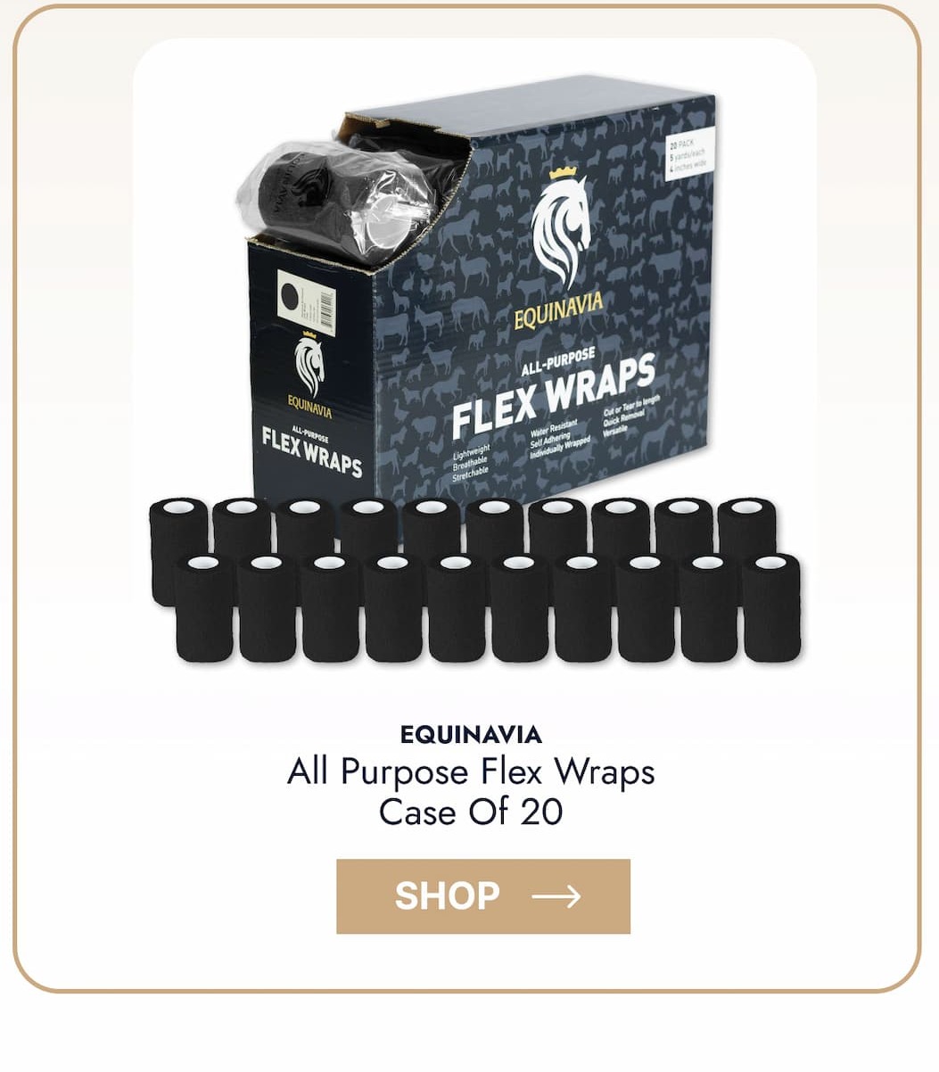 Equinavia All Purpose Flex Wraps - Case of 20