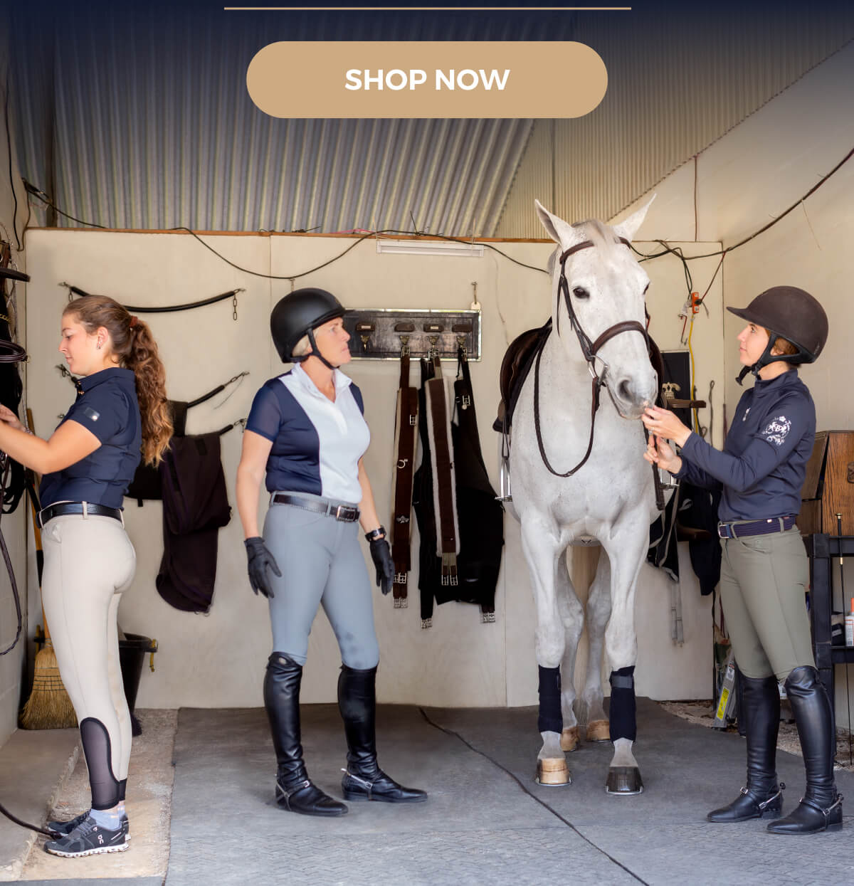 SHOP NOW