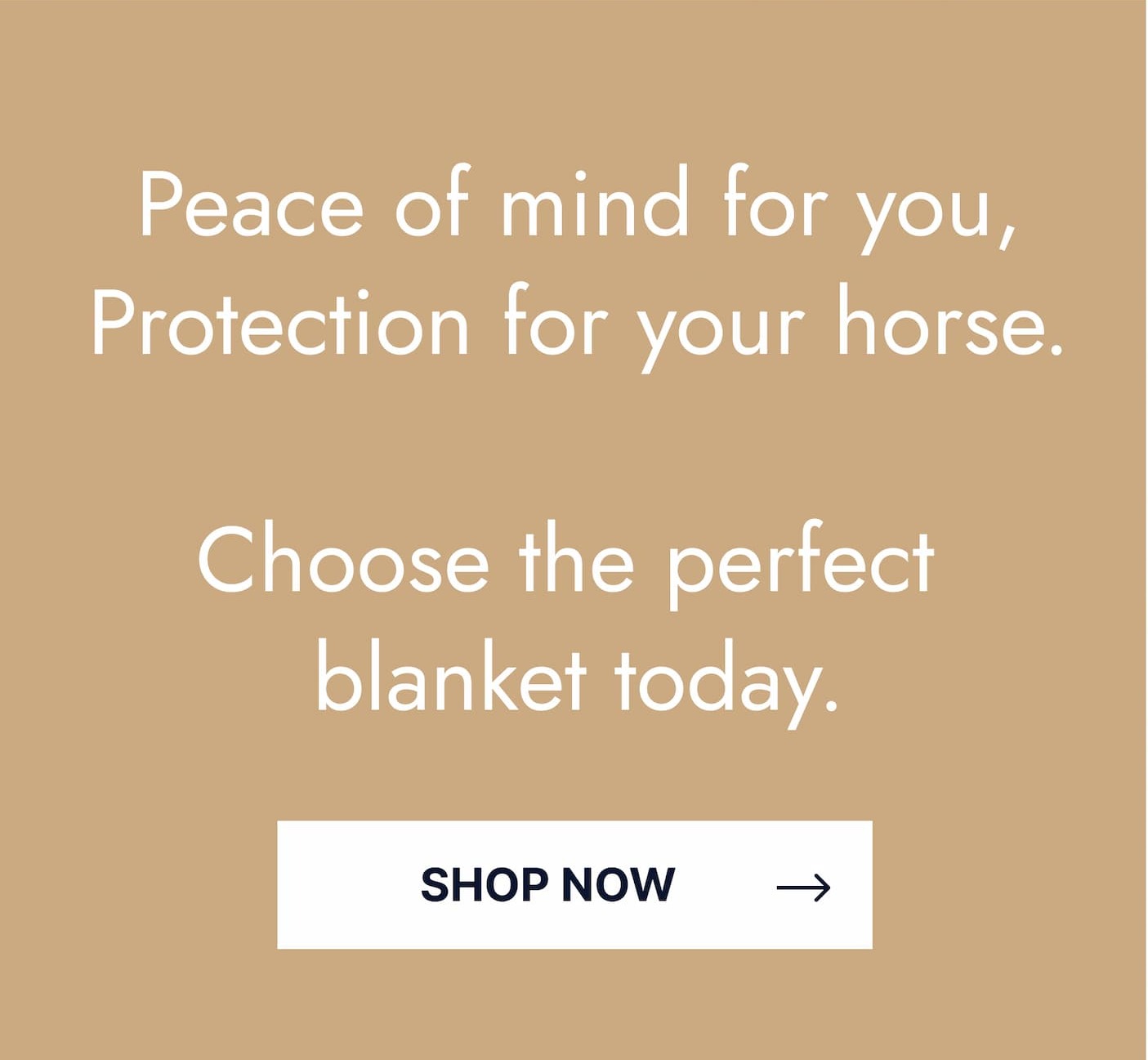 Peace of mind for you, protection for your horse. Choose the perfect blanket today. Shop Now.